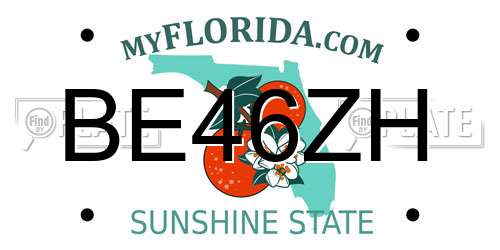 BE46ZH Florida License Plate