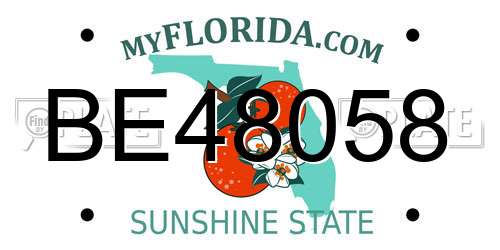 BE48058 Florida License Plate