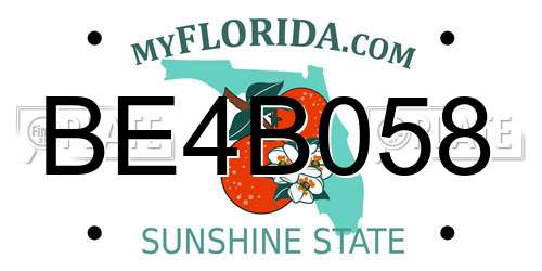 BE4B058 Florida License Plate