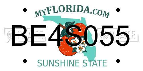 BE4S055 Florida License Plate