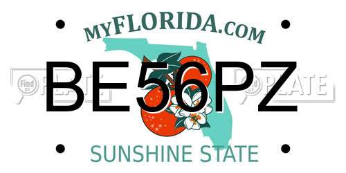 BE56PZ Florida License Plate