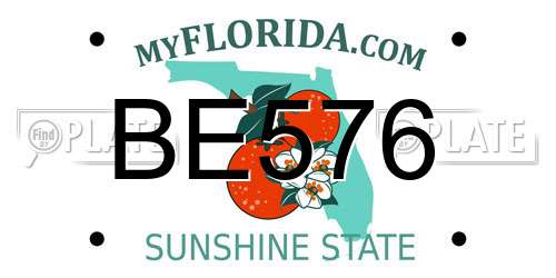BE576 Florida License Plate
