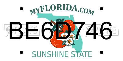 BE6D746 Florida License Plate