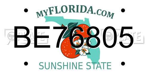 BE76805 Florida License Plate