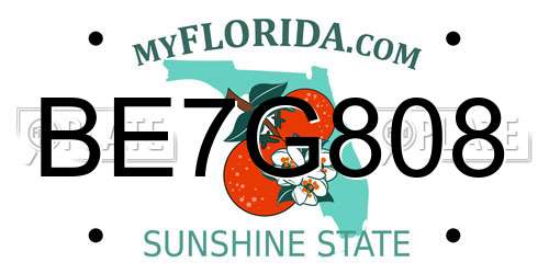 BE7G808 Florida License Plate