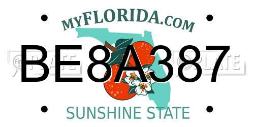 BE8A387 Florida License Plate