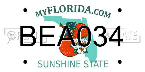 BEA034 Florida License Plate