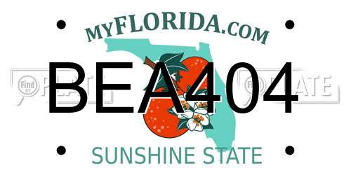 BEA404 Florida License Plate