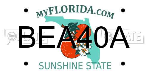 BEA40A Florida License Plate