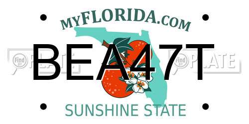 BEA47T Florida License Plate