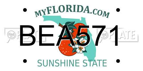 BEA571 Florida License Plate