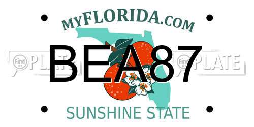 BEA87 Florida License Plate