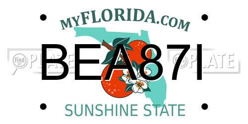 BEA87I Florida License Plate