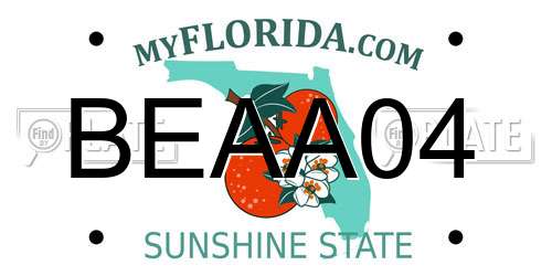 BEAA04 Florida License Plate