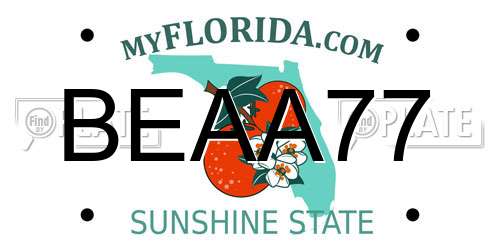 BEAA77 Florida License Plate