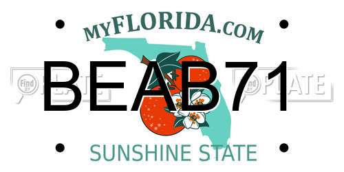 BEAB71 Florida License Plate