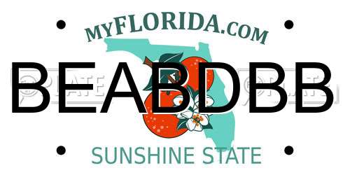 BEABDBB Florida License Plate