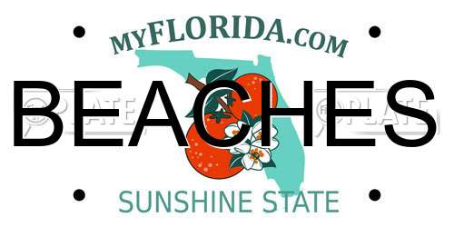 BEACHES Florida License Plate