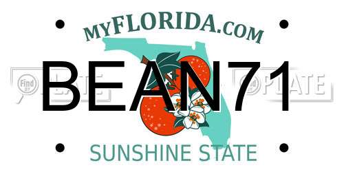 BEAN71 Florida License Plate