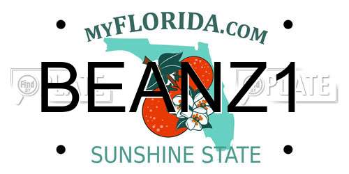 BEANZ1 Florida License Plate