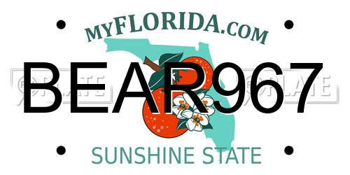 BEAR967 Florida License Plate