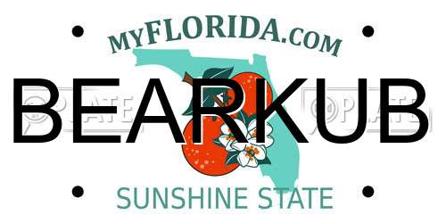 BEARKUB Florida License Plate