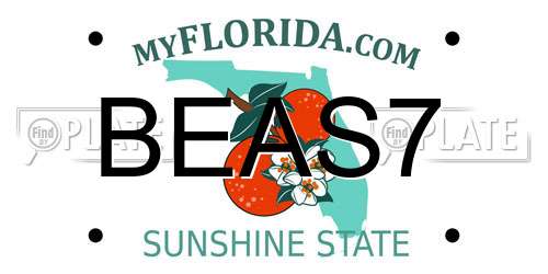 BEAS7 Florida License Plate