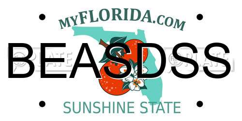 BEASDSS Florida License Plate