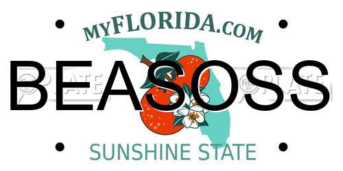BEASOSS Florida License Plate