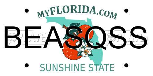 BEASQSS Florida License Plate