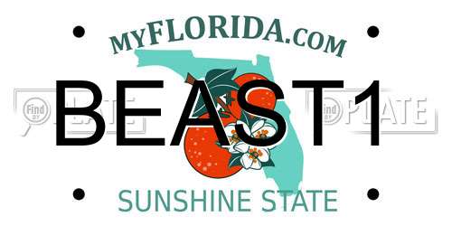 BEAST1 Florida License Plate