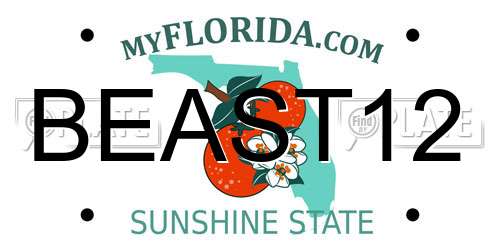 BEAST12 Florida License Plate