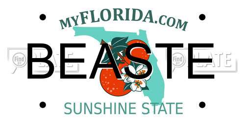 BEASTE Florida License Plate