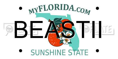 BEASTII Florida License Plate