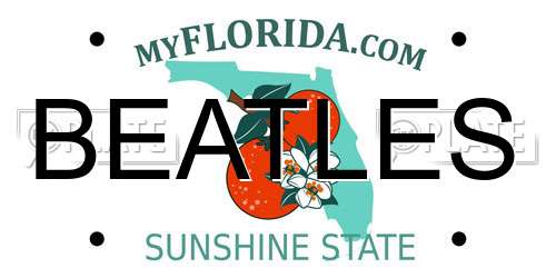 BEATLES Florida License Plate
