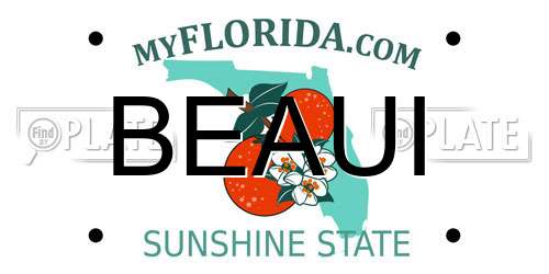 BEAUI Florida License Plate