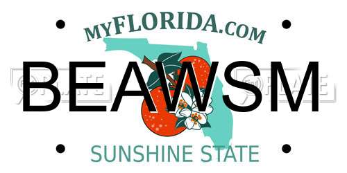 BEAWSM Florida License Plate