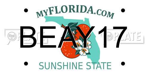 BEAY17 Florida License Plate