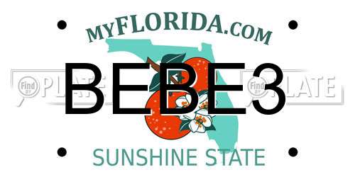 BEBE3 Florida License Plate