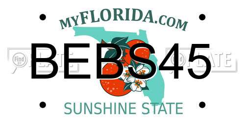 BEBS45 Florida License Plate