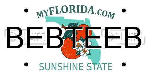 BEBTEEB Florida License Plate