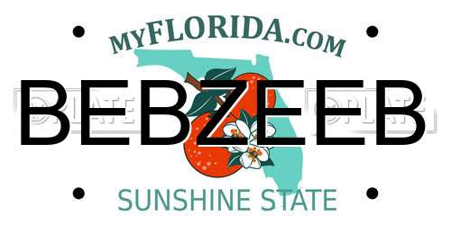BEBZEEB Florida License Plate