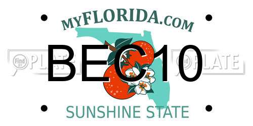 BEC10 Florida License Plate