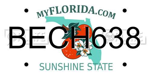 BECH638 Florida License Plate