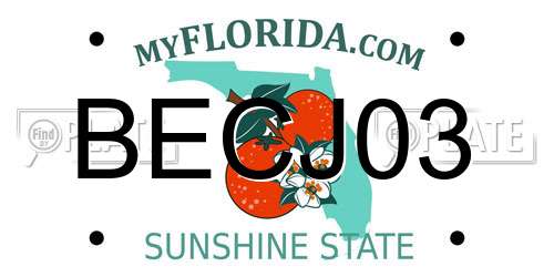 BECJ03 Florida License Plate