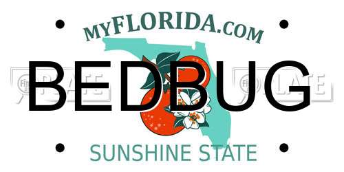 BEDBUG Florida License Plate