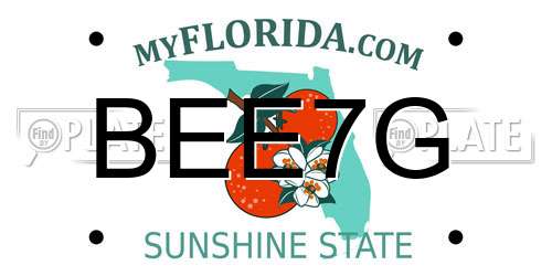 BEE7G Florida License Plate