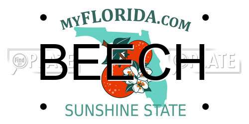 BEECH Florida License Plate