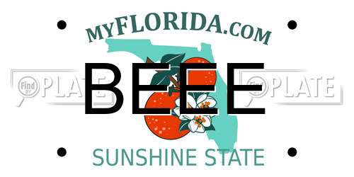 BEEE Florida License Plate