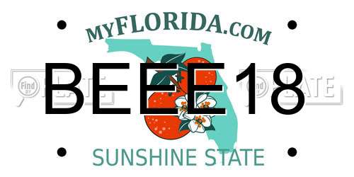 BEEE18 Florida License Plate